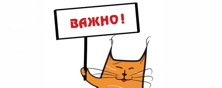 Подорожание услуг доставки по Киеву